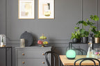 Cardi-Bluetooth connected portable lamp-whites & colors(2700-6500K+RGB)-Black