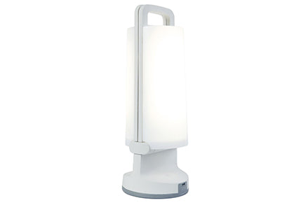 DRAGONFLY SOLAR LED PORTABLE 1 LIGHT WHITE