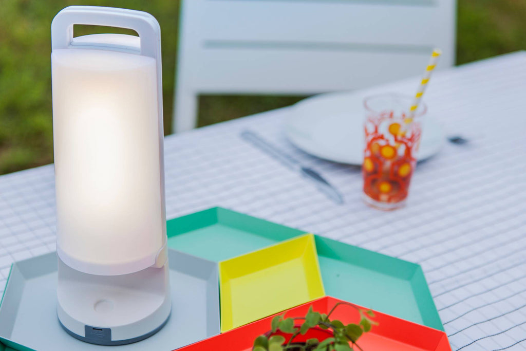 DRAGONFLY SOLAR LED PORTABLE 1 LIGHT WHITE