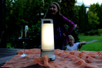 DRAGONFLY SOLAR LED MULTI PORTABLE LIGHT SILVER GREY