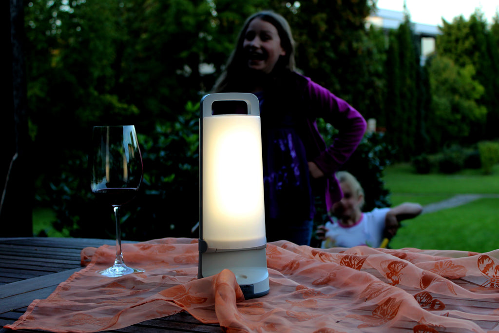 DRAGONFLY SOLAR LED MULTI PORTABLE LIGHT SILVER GREY