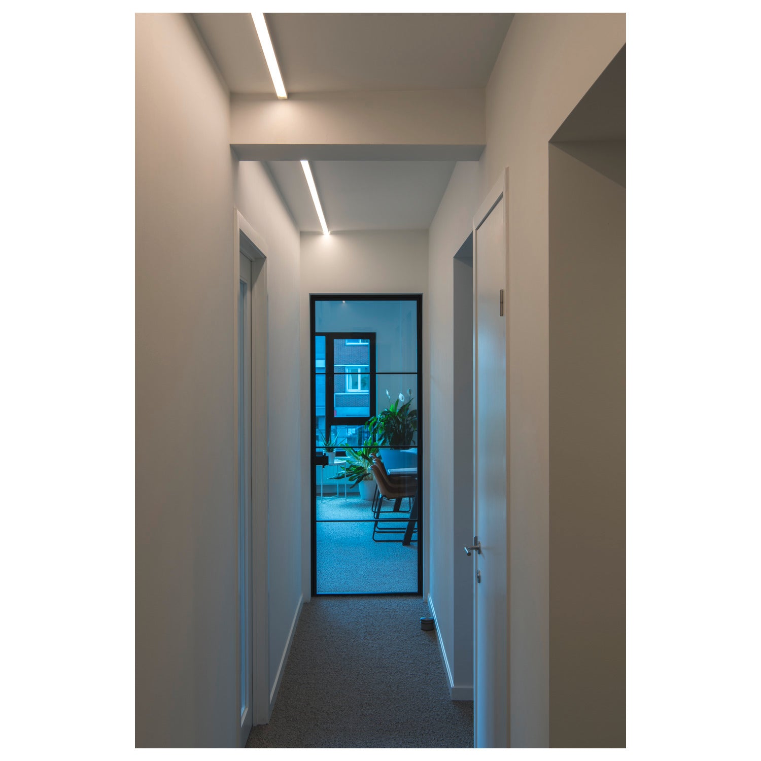 GRAZIA 20, perfil de instalação à superfície, LED, standard, liso, 3 m, branco