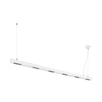 Q-LINE PD, luminária pendente Indoor LED, 2 m, BAP, branco, 4000 K