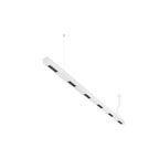 Q-LINE PD, luminária pendente Indoor LED, 2 m, BAP, branco, 4000 K