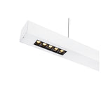 Q-LINE PD, luminária pendente Indoor LED, 2 m, BAP, branco, 4000 K