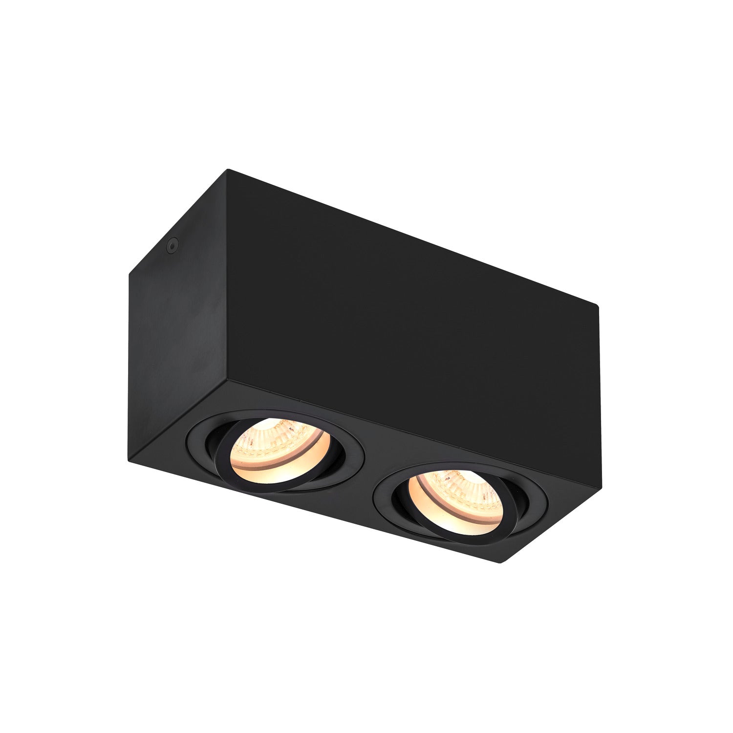 TRILEDO Double, luminária de montagem de teto Indoor, QPAR51, preto, máx. 10 W