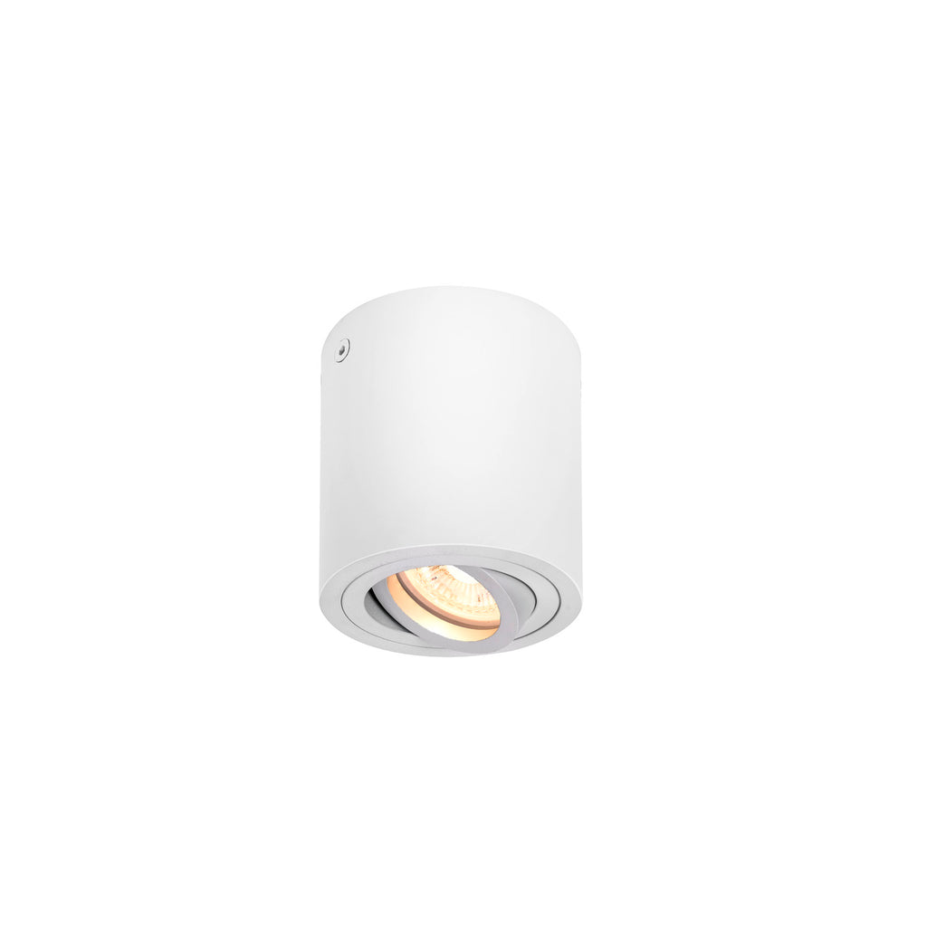 TRILEDO CL, luminária de montagem de teto Indoor, QPAR51, branco, máx. 10 W