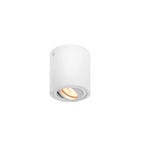 TRILEDO CL, luminária de montagem de teto Indoor, QPAR51, branco, máx. 10 W