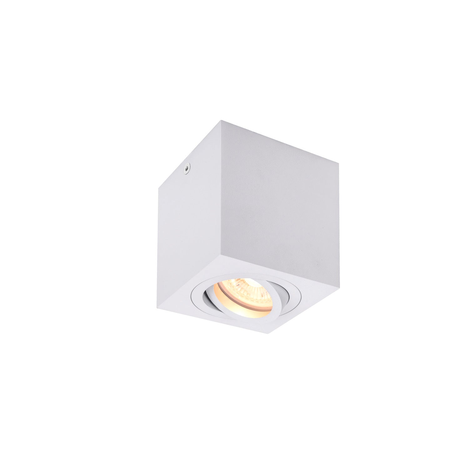 TRILEDO Single, luminária de montagem de teto Indoor, QPAR51, branco, máx. 10 W