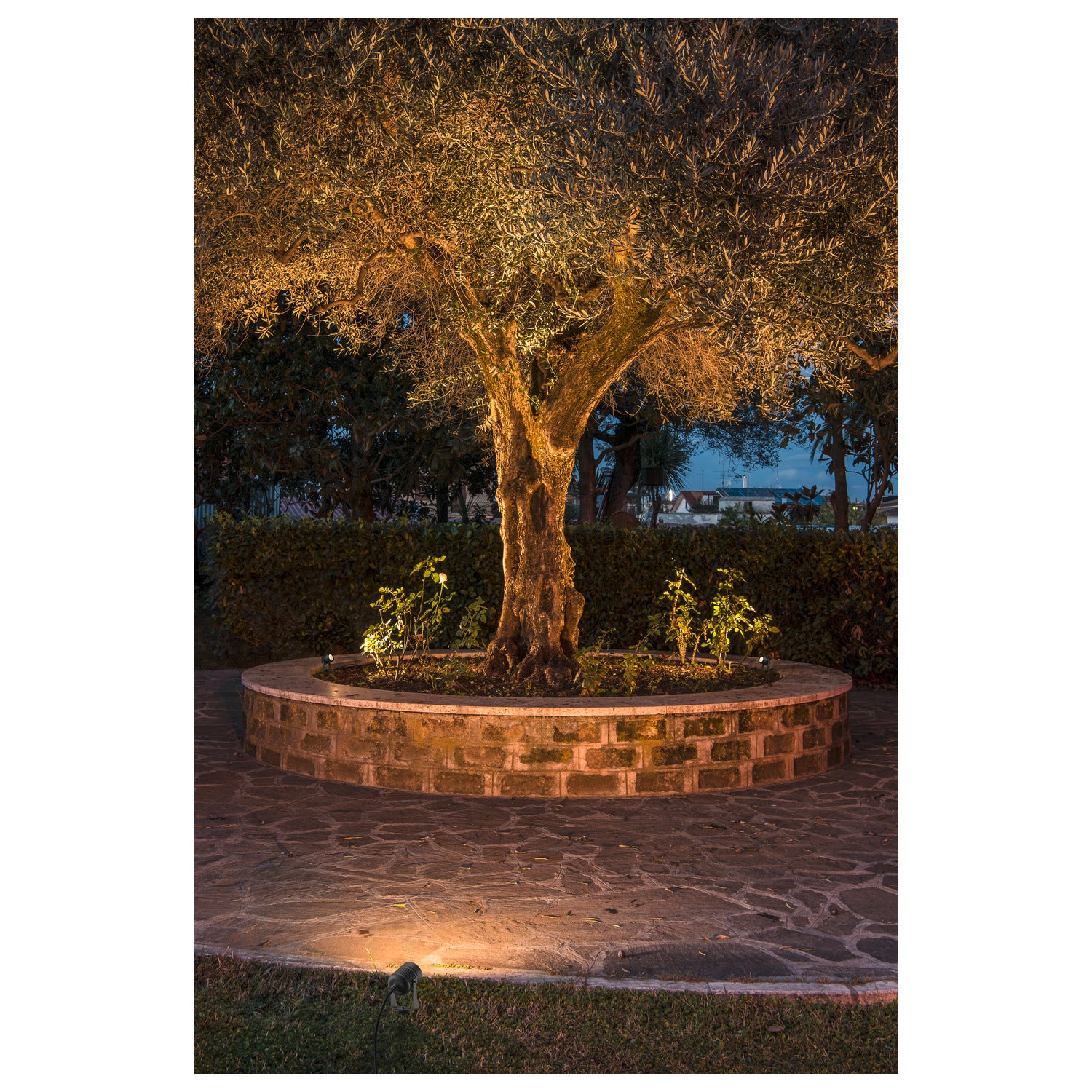 LED SPIKE, luminária de estaca LED Outdoor, antracite, IP55, 3000 K, 40º
