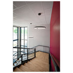ONE 80 DALI, luminária suspensa LED de interior, preto, 3000/4000 K