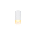 ASTINA QPAR51, luminária de montagem à superfície no teto Indoor, branco