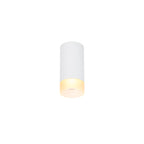 ASTINA QPAR51, luminária de montagem à superfície no teto Indoor, branco
