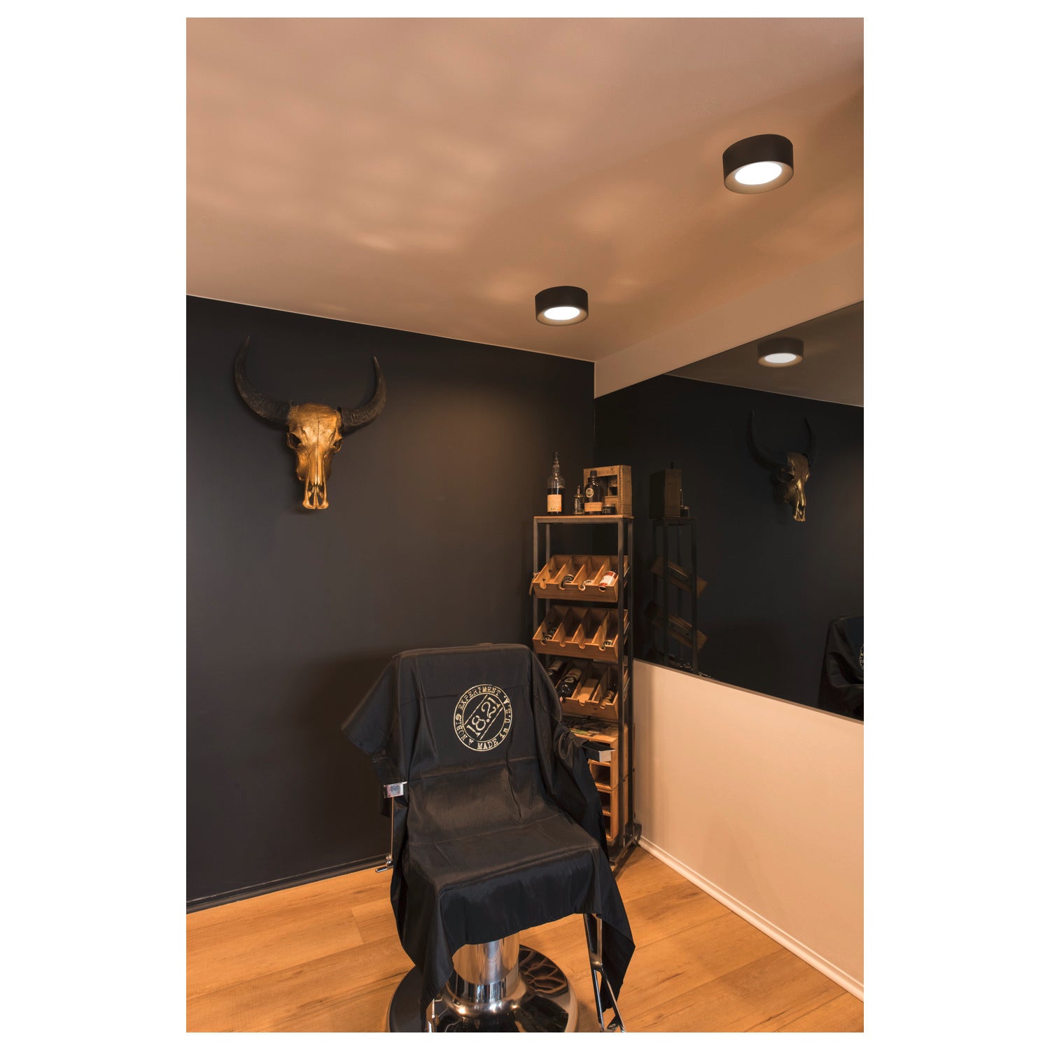 FERA 25 CL DALI, luminária de montagem à superfície no teto LED Indoor, preto