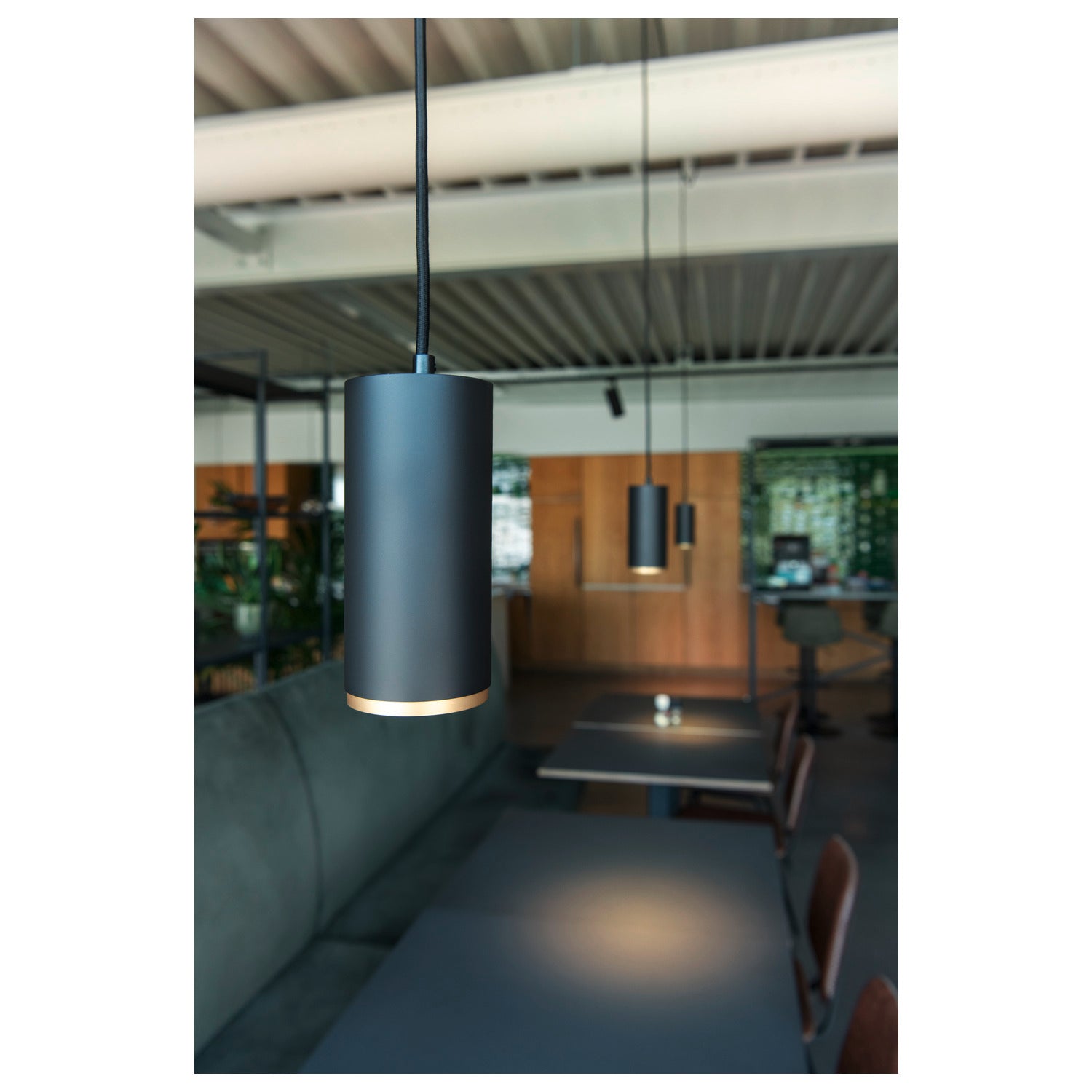 NUMINOS® M, anel frontal, ouro mate