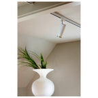 NUMINOS® L 3Ph., PHASE, 3~ Projetor, cilíndrico, 3000 K, 20 Watt, Ângulos de fases, 36°, branco mate / preto mate