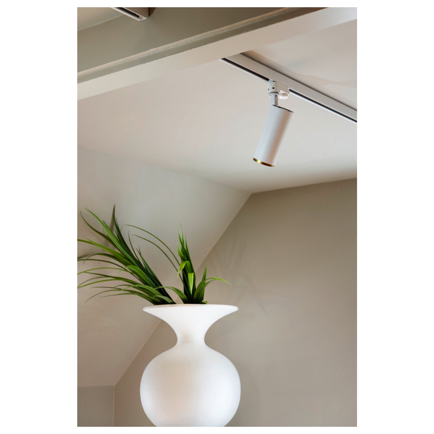 NUMINOS® L 3Ph., PHASE, 3~ Projetor, cilíndrico, 3000 K, 20 Watt, Ângulos de fases, 36°, branco mate / preto mate