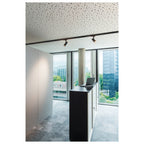 NUMINOS® S 3Ph., DALI, 3~ Projetor, cilíndrico, 3000 K, 7,8 Watt, DALI, 36°, preto mate