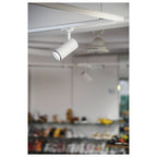 NUMINOS® M 3Ph., DALI, 3~ Projetor, cilíndrico, 3000 K, 13 Watt, DALI, 36°, branco mate / preto mate
