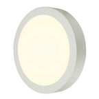 SENSER 24 CW, Luminária de parede saliente e luz saliente para teto LED para interior redondo branco 4000 K