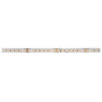 GRAZIA PRO FLEXSTRIP, 24 V 10 mm 2700-6500 K