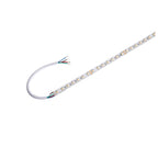 GRAZIA PRO, FLEXSTRIP 24V 12 mm RGBW