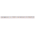 GRAZIA IP FLEXSTRIP, 24 V 3360 lm IP66 2700 K