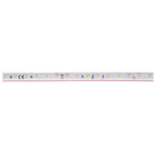 GRAZIA IP FLEXSTRIP, 24 V 3360 lm IP66 3000 K