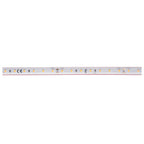 GRAZIA IP FLEXSTRIP, 24 V 3615 lm IP66 4000 K