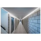 GRAZIA, LED Strip Core, 6500 K, 45 W, L: 500 cm