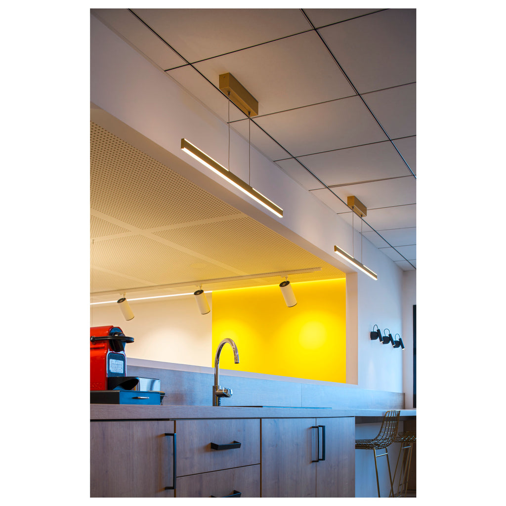 NUMINOS® L 3Ph., PHASE, 3~ Projetor, cilíndrico, 3000 K, 20 Watt, Ângulos de fases, 24°, branco mate / preto mate