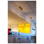 NUMINOS® L 3Ph., PHASE, 3~ Projetor, cilíndrico, 3000 K, 20 Watt, Ângulos de fases, 24°, branco mate / preto mate