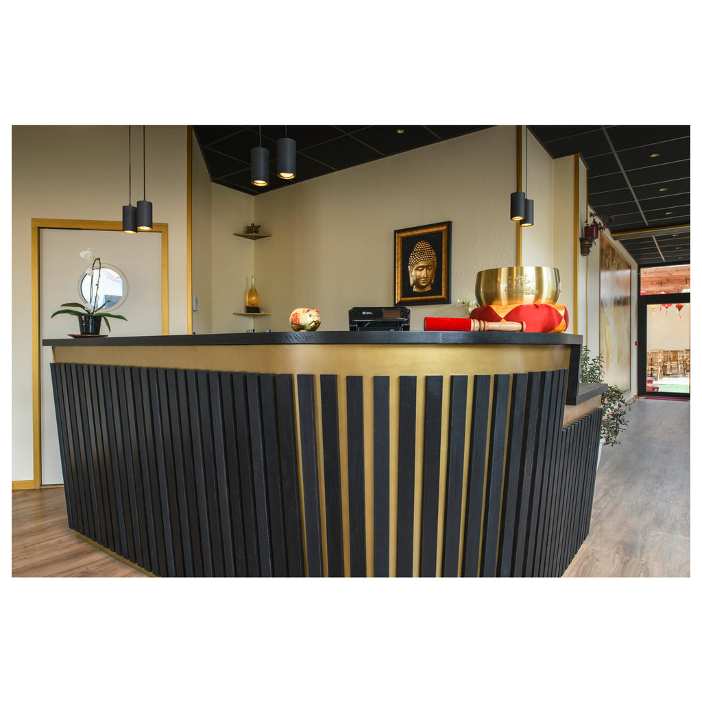 ASTO TUBE, luminária suspensa, GU10, comprimento da suspensão 250 cm, máx. 2x10 W, preto