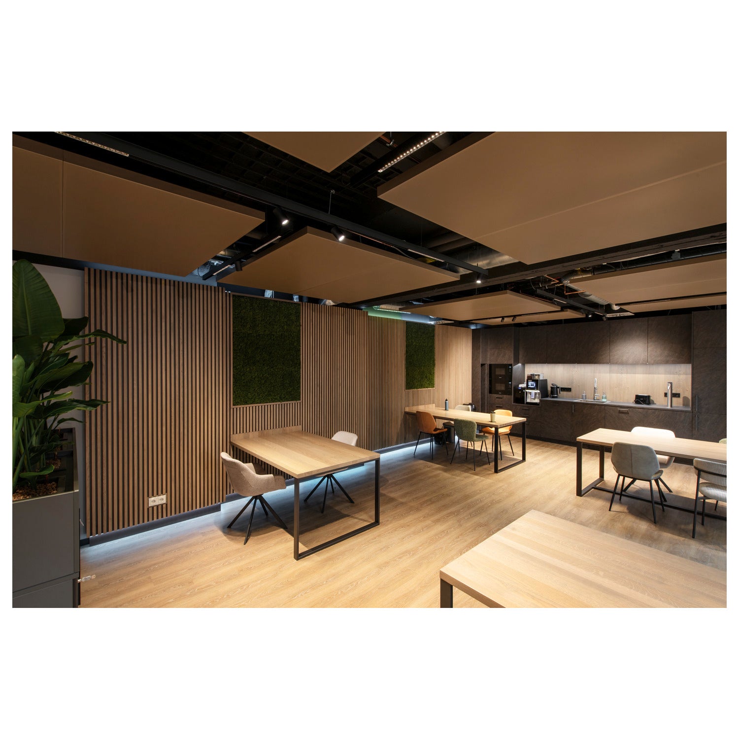 48V SYSTEM - NUMINOS® XS 48V TRACK, DALI, Spot, preto/branco, 8,7 W, 720 lm, 3000 K, CRI 90, 55°