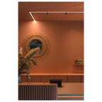 48V SYSTEM - IN-LINE 44 48 V TRACK, opalino, DALI, Spot, preto 14 W, 1140 lm, 2700 K, CRI 90, 95°