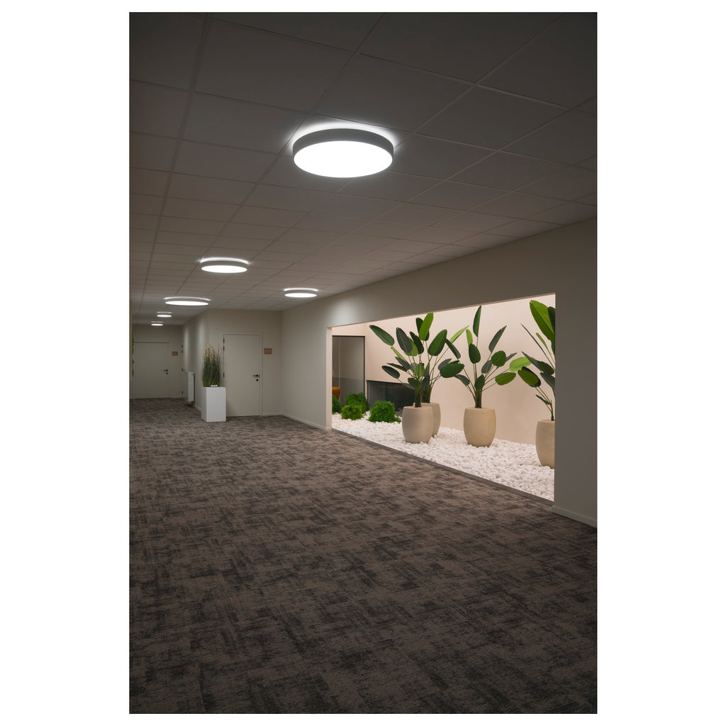 MEDO® PRO 60, luminária saliente para parede e teto, redondo, 3000/4000 K, 39 W, DALI, Touch, 80°, UGR <19, branco