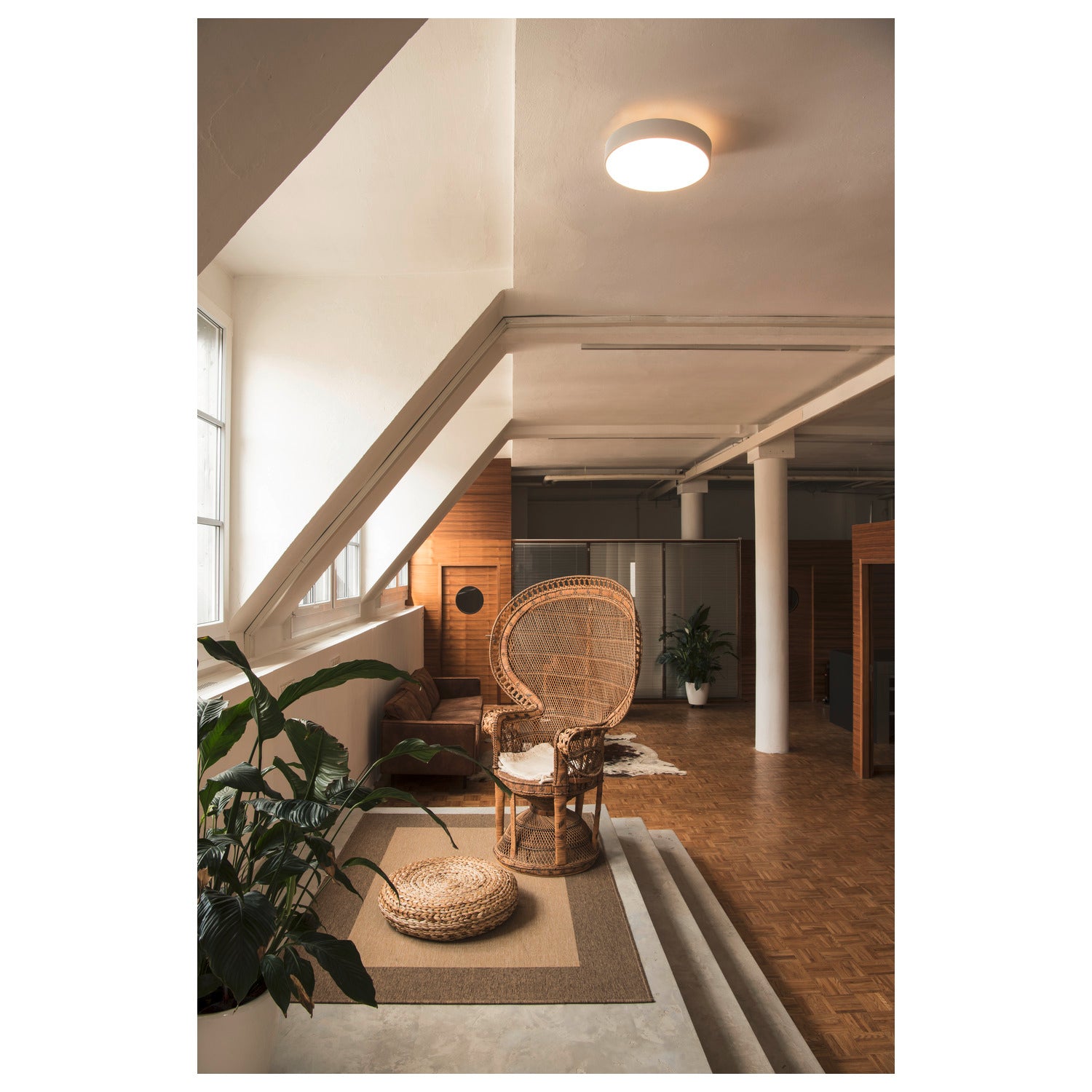 MEDO® 40, luminária saliente para parede e teto, redondo, 2700/3000/4000 K, 20 W, secção de fase, 110°, branco