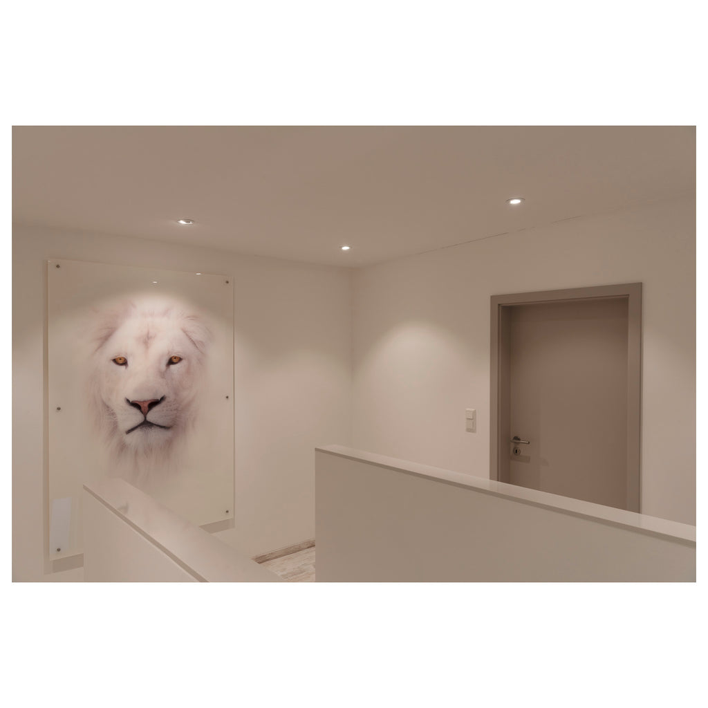 NEW TRIA® UNIVERSAL, módulo LED, 2500/3000/4000 K, 60°, PHASE, preto