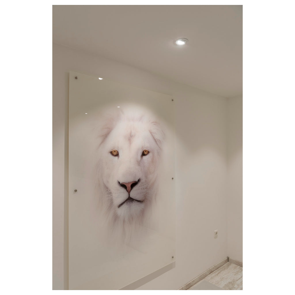 NEW TRIA® UNIVERSAL, módulo LED, 2500/3000/4000 K, 60°, PHASE, preto