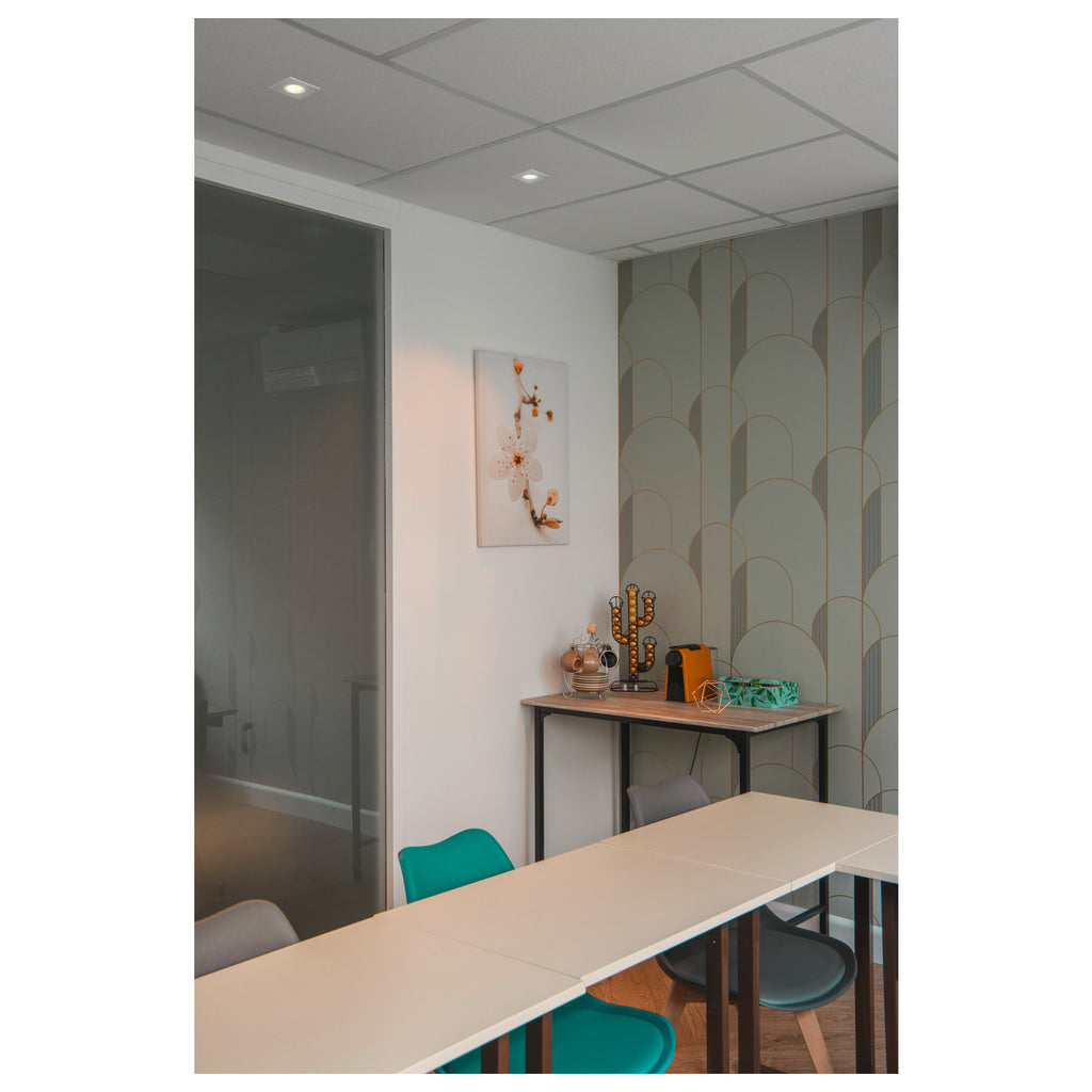 NEW TRIA® UNIVERSAL, módulo LED, 2500/3000/4000 K, 38°, PHASE, preto