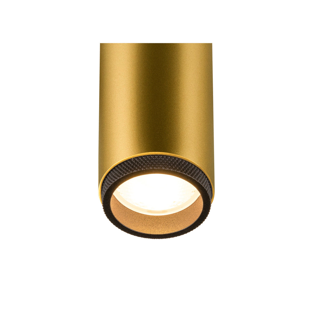 GRIP! M, 1~ Spot, cilíndrico, 3000 K, 20 W, PHASE, 42°, dourado / preto