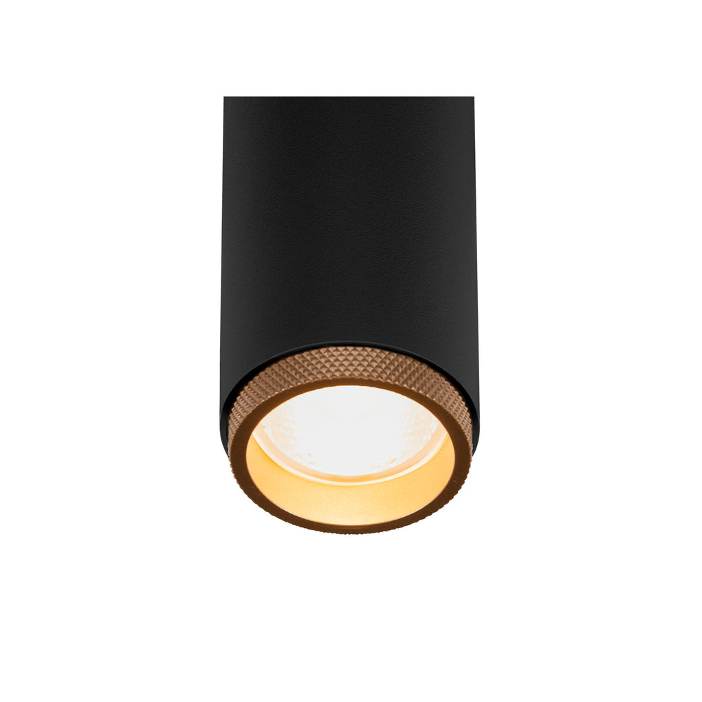 GRIP! M, 1~ Spot, cilíndrico, 2000-3000 K, 15 W, Dim-to-Warm, PHASE, 42°, preto / dourado