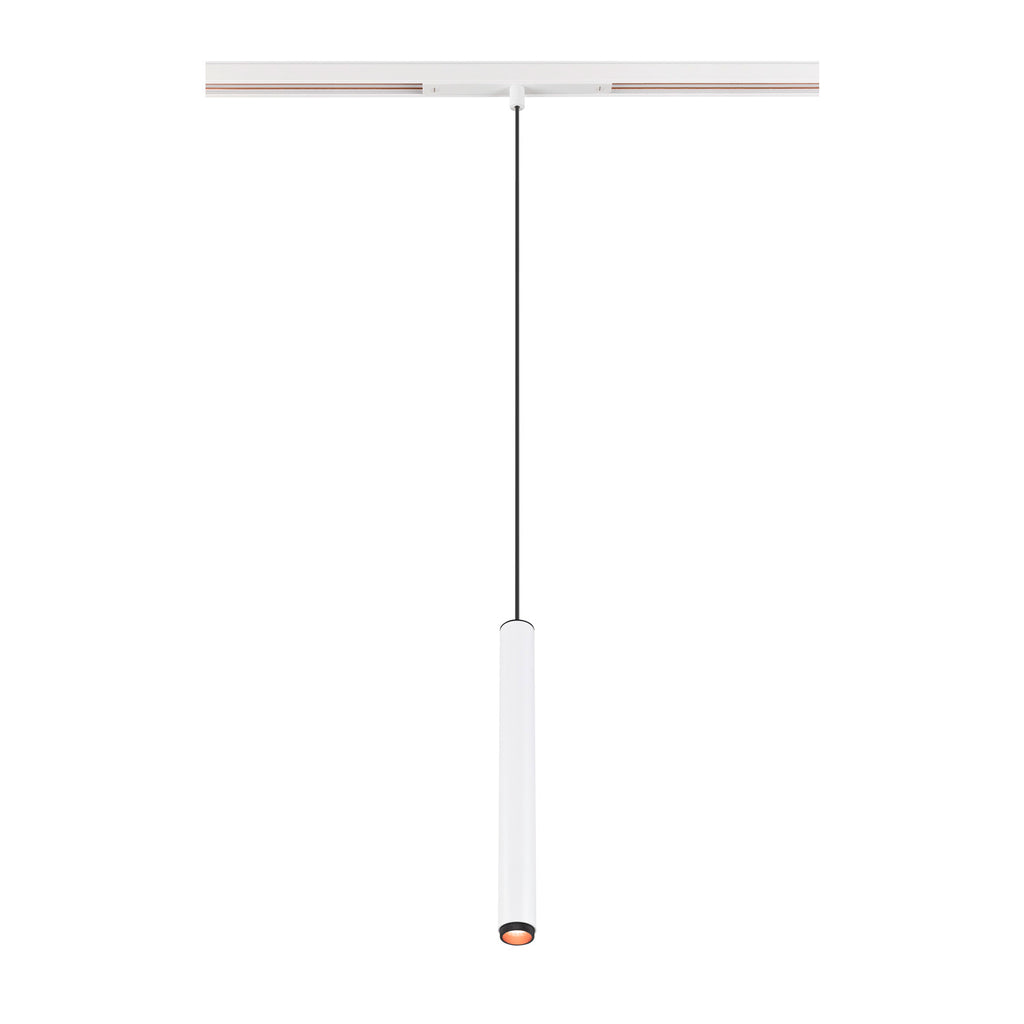 GRIP! S, luminária pendente 48V, comprimento do pendente 200 cm, 2000-3000 K, 29°, DALI, Dim-to-Warm, branco / preto