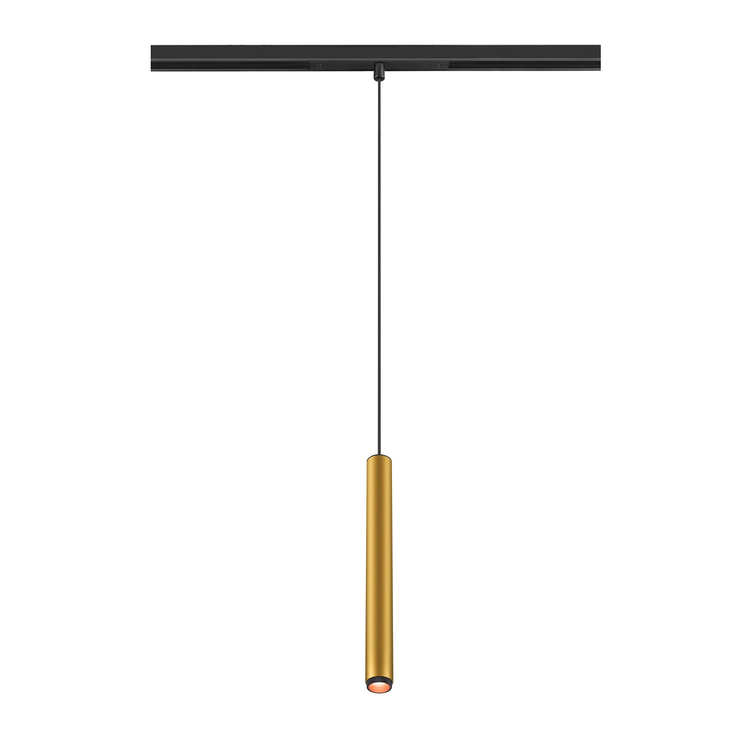 GRIP! S, luminária pendente 48V, comprimento do pendente 200 cm, 2000-3000 K, 29°, DALI, Dim-to-Warm, dourado / preto