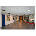 DECONA 30, aplique de teto, redondo, 2700/3000 K, 18 W, PHASE, preto / dourado