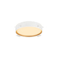 DECONA 30, aplique de teto, redondo, 2700/3000 K, 18 W, PHASE, branco / dourado