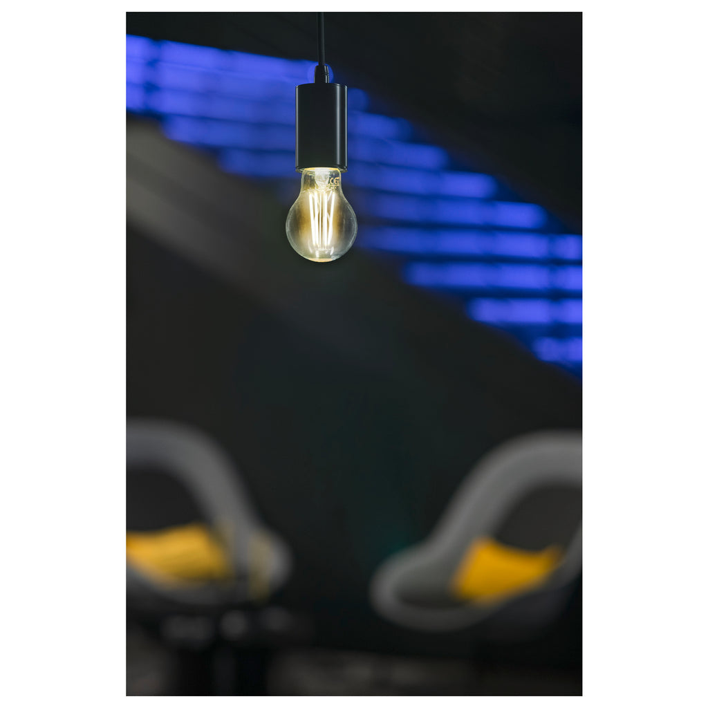 LEUCHTMITTEL - LED A60, LED-Lâmpada, transparente, E27, 4 W, 2700 K