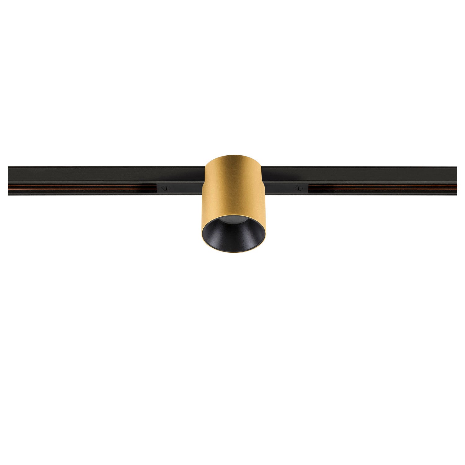FIX-IT!, 48V, DALI, redondo, calha padrão, spot, 3000K, 6,6 W, 36°, dourado / preto