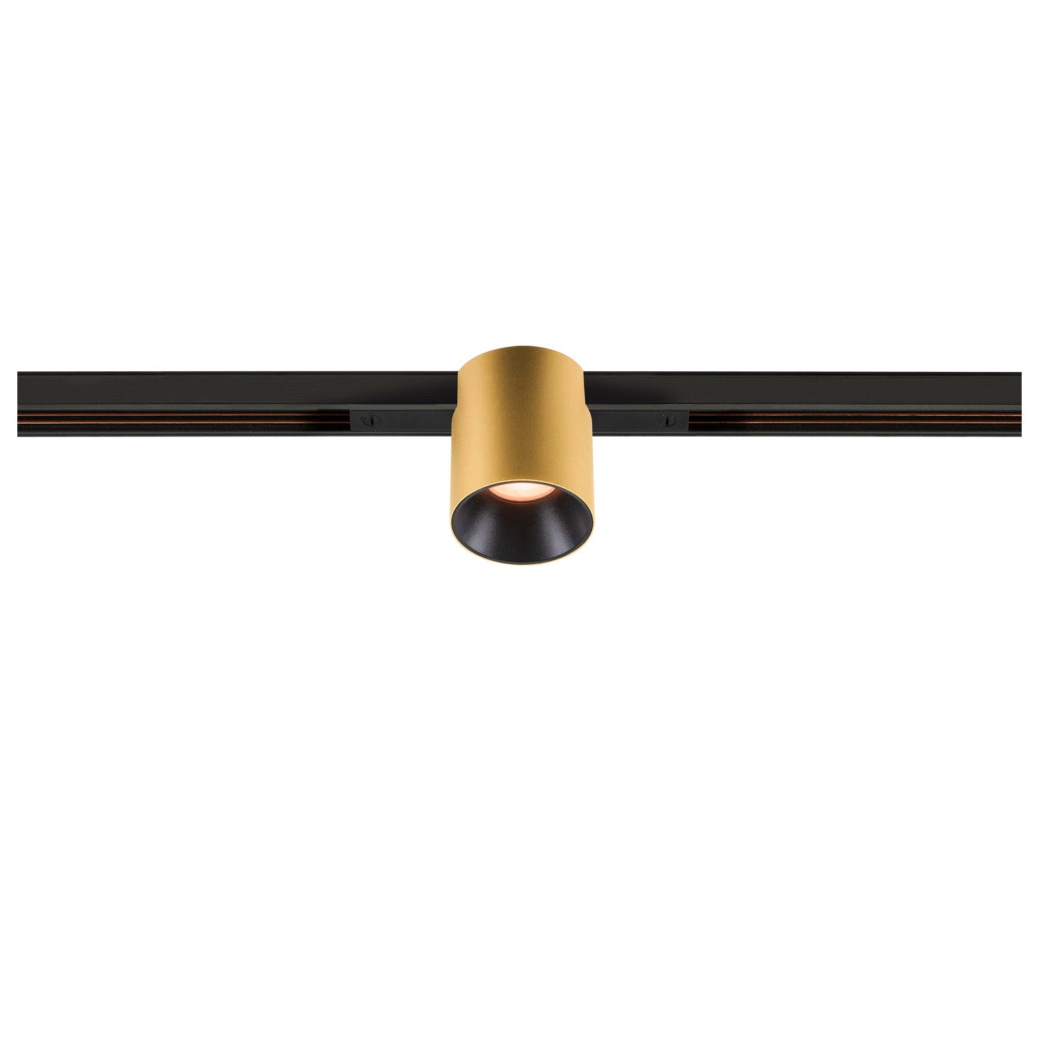 FIX-IT!, 48V, DALI, redondo, calha padrão, spot, 2000-3000K, 7,4 W, 36°, dourado / preto