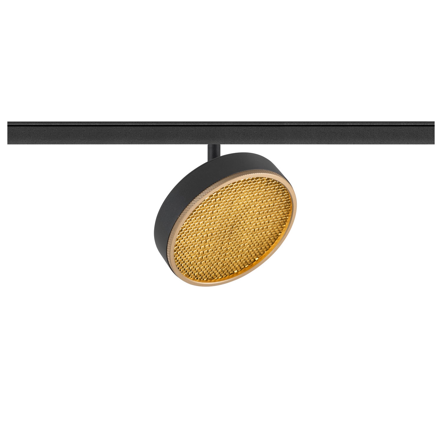 GRIP! FLAT, 48V Spot, DALI, redondo, 2700/3000 K, 14, 5 W, preto / dourado